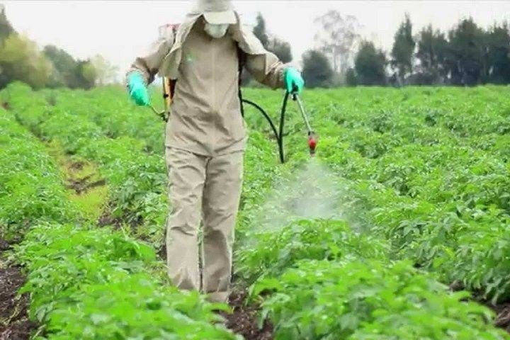 Пестициды инсектициды гербициды
