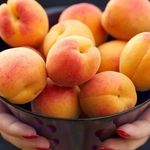 Маска из абрикоса для лица: домашние рецепты или готовые средства?