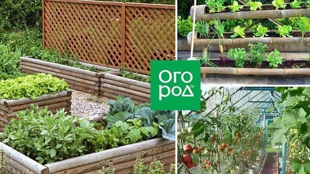 Красивые грядки своими руками: 50 идей, как украсить огород и вырастить хороший урожай | Дизайн участка