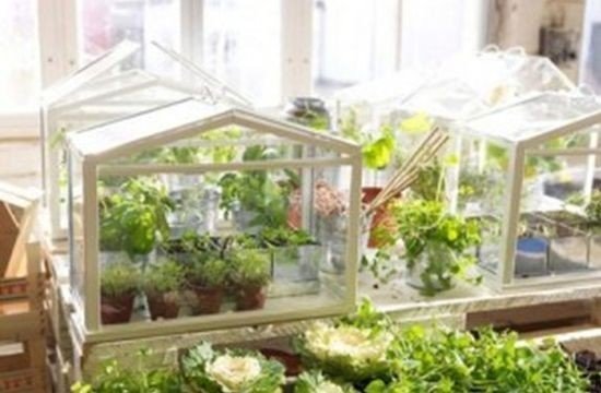 Мини теплица greenhouse