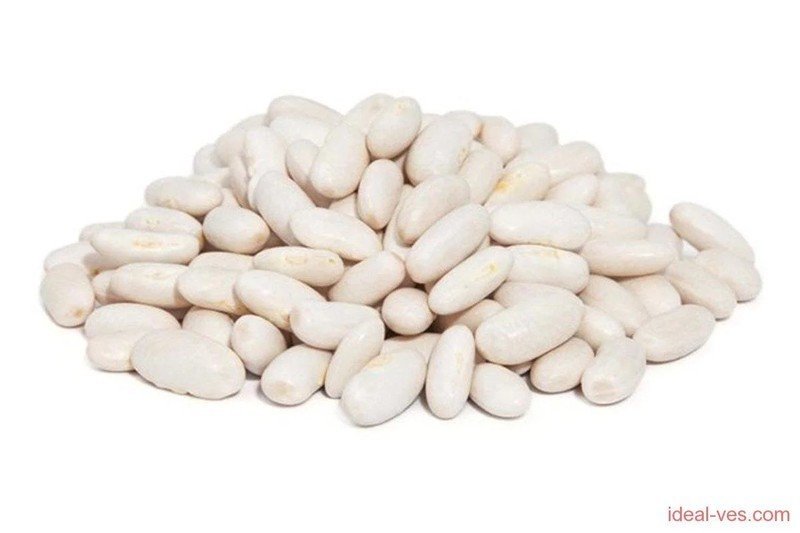 Фасоль белая white beans