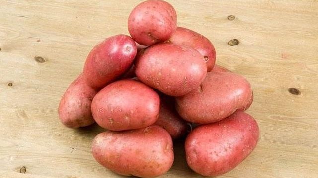 О картофеле Журавинка: описание сорта картофеля, характеристики, агротехника