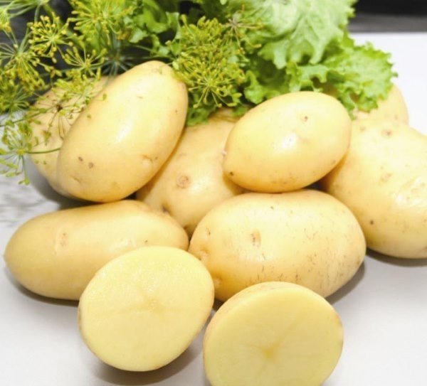 Картофель сорт нандина