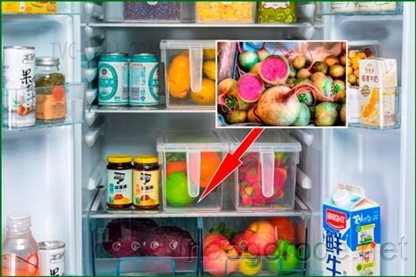 Холодильник внутри с продуктами