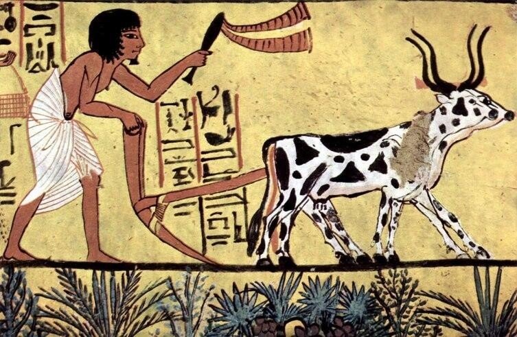 Древний египет землевладельцы и ремесленники в египте