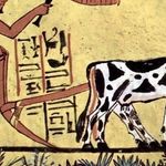 Какие зерновые культуры создали цивилизацию?