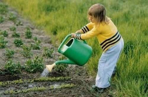 Девочка поливает лук