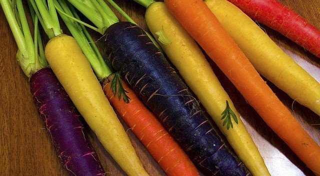 Разноцветные сорта моркови