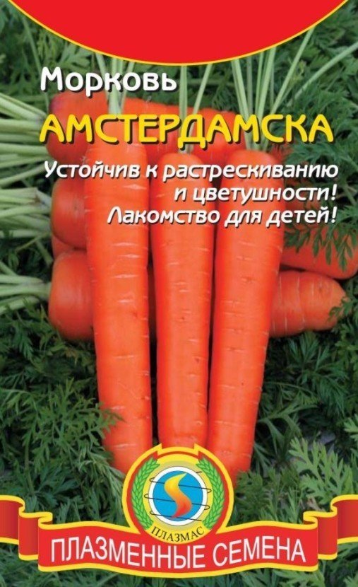 Морковь сорт красный великан