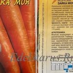 Морковь Зайка моя: описание среднеспелого сорта с отличными вкусовыми характеристиками