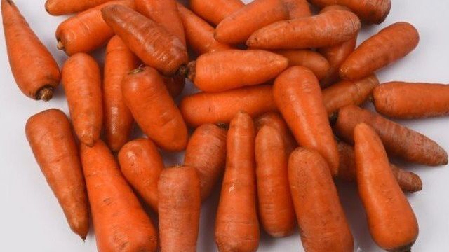 Морковь Ред Кор: описание и характеристика сорта, выращивание и уход, фото