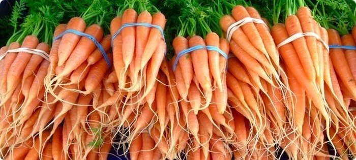 Семена моркови элеганс