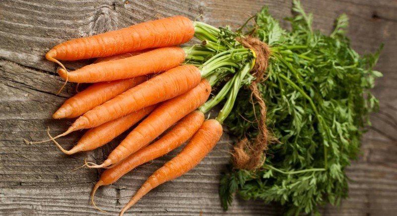 Морковка двухлетнее растение