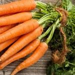 В какое время копать морковь