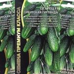 Описание сорта огурцов Сибирская гирлянда, выращивание и формирование
