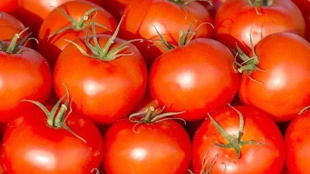 Лучшие сорта помидоров для теплицы из поликарбоната