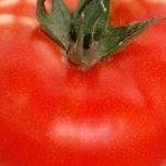 Стойкий гибрид от японских селекционеров — томат «Мишель f1»