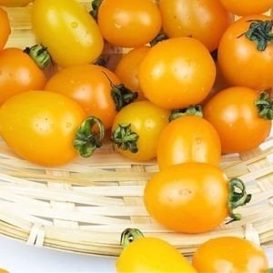Жёлтые помидоры сорта низкорослые