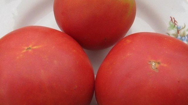 Томат Персик розовый F1: отзывы о помидорах, характеристика и описание сорта, фото куста