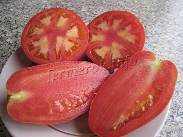 Сорт помидор петруша огородник