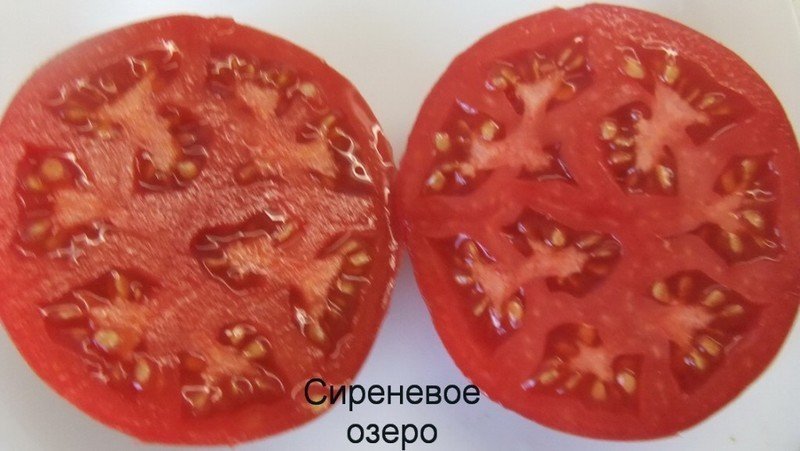 Кривянские помидоры в разрезе