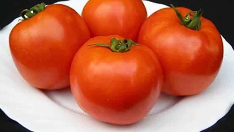 Яркий и вкусный голландский сорт томатов