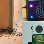 Как использовать ультразвуковой отпугиватель муравьев?