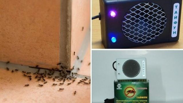 Ультразвуковой современный отпугиватель муравьев