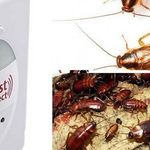 Отзывы о средстве от тараканов Pest Reject