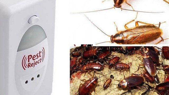 Ультразвуковой отпугиватель от тараканов Pest Reject