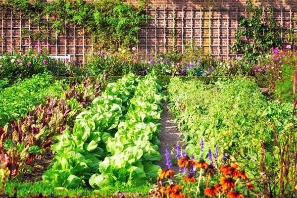 How does your garden grow перевод на русский