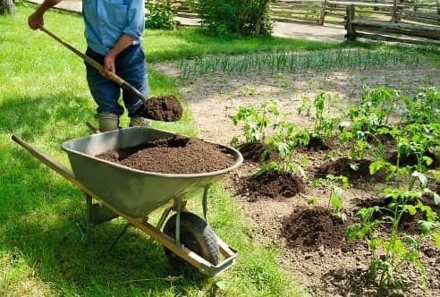 Удобрения для сада и огорода