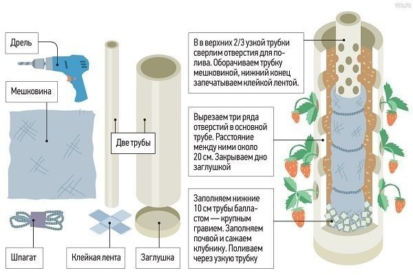 Схема для выращивания клубники в ПВХ трубе