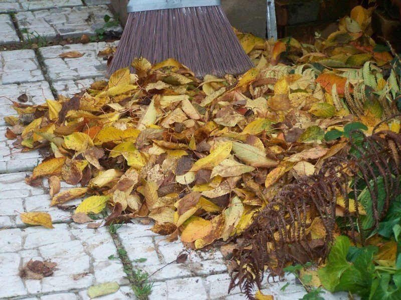 Мульчирование пластами из листьев