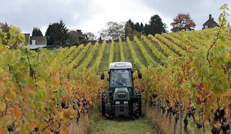 New holland трактор виноградник