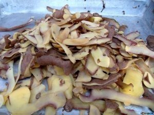 Картофельная кожура для свиней