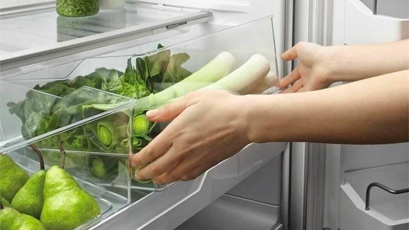Холодильник для зелени