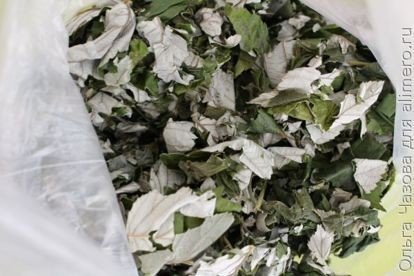 Ферментация листьев малины — ароматная заготовка для чая