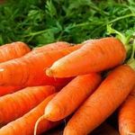 Самые вкусные заготовки из моркови на зиму