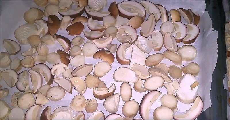 Приготовленные грибы белые грибы