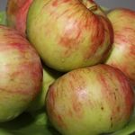 Яблочные чипсы в духовке — рецепт с фото пошагово (