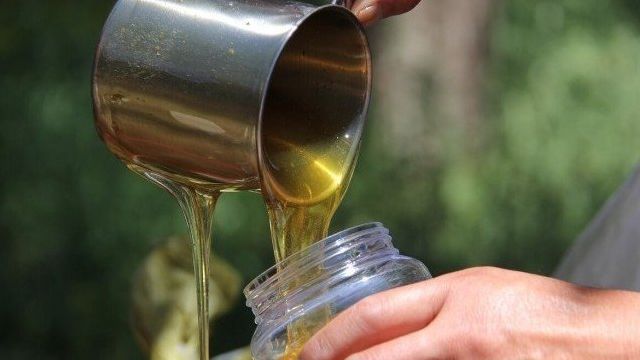 В чем хранить мед: пластик, стекло, деревянные бочонки?