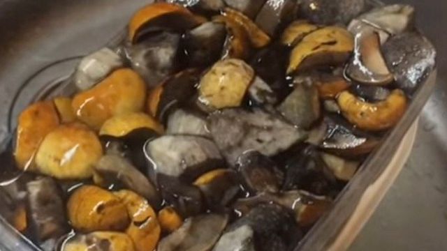 Приготовление грибов подосиновиков: рецепты и фото, как вкусно приготовить блюда для всей семьи