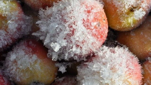Можно ли замораживать яблоки в морозилке: особенности и способы заморозки яблок на зиму, сроки хранения